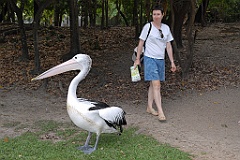 0825 Wildlife Habitat Port Douglas